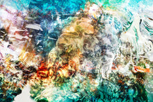 Charger l'image dans la galerie, DUALE — PORIFERA