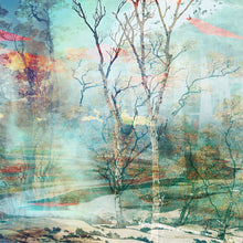 Charger l'image dans la galerie, DUALE — BETULA