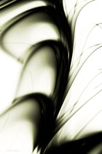 Charger l'image dans la galerie, NORADRÉNALINE