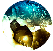 Charger l'image dans la galerie, Colloïde sur oxyde de silicium métallisé et foudroyé