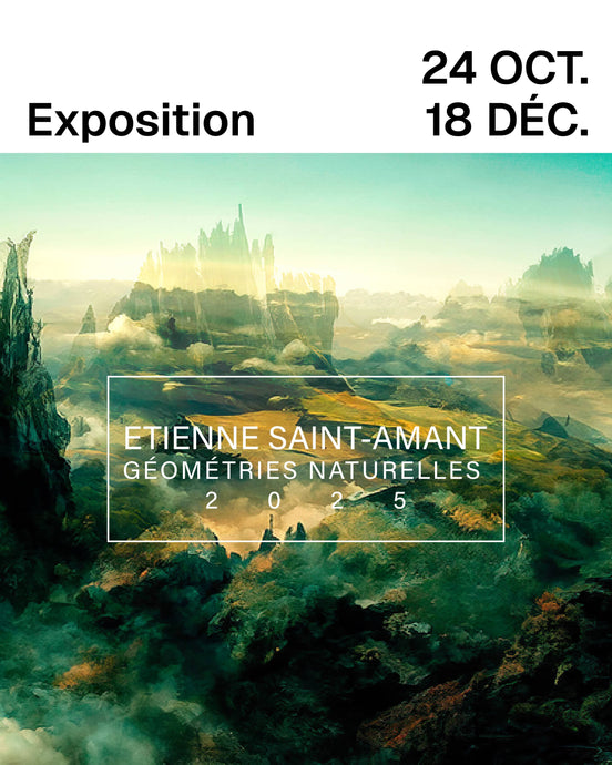 Géométries naturelles 2025 : une célébration de l’art, de la nature et du chaos créateur