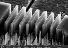 Charger l&#39;image dans la galerie, GMAD15
