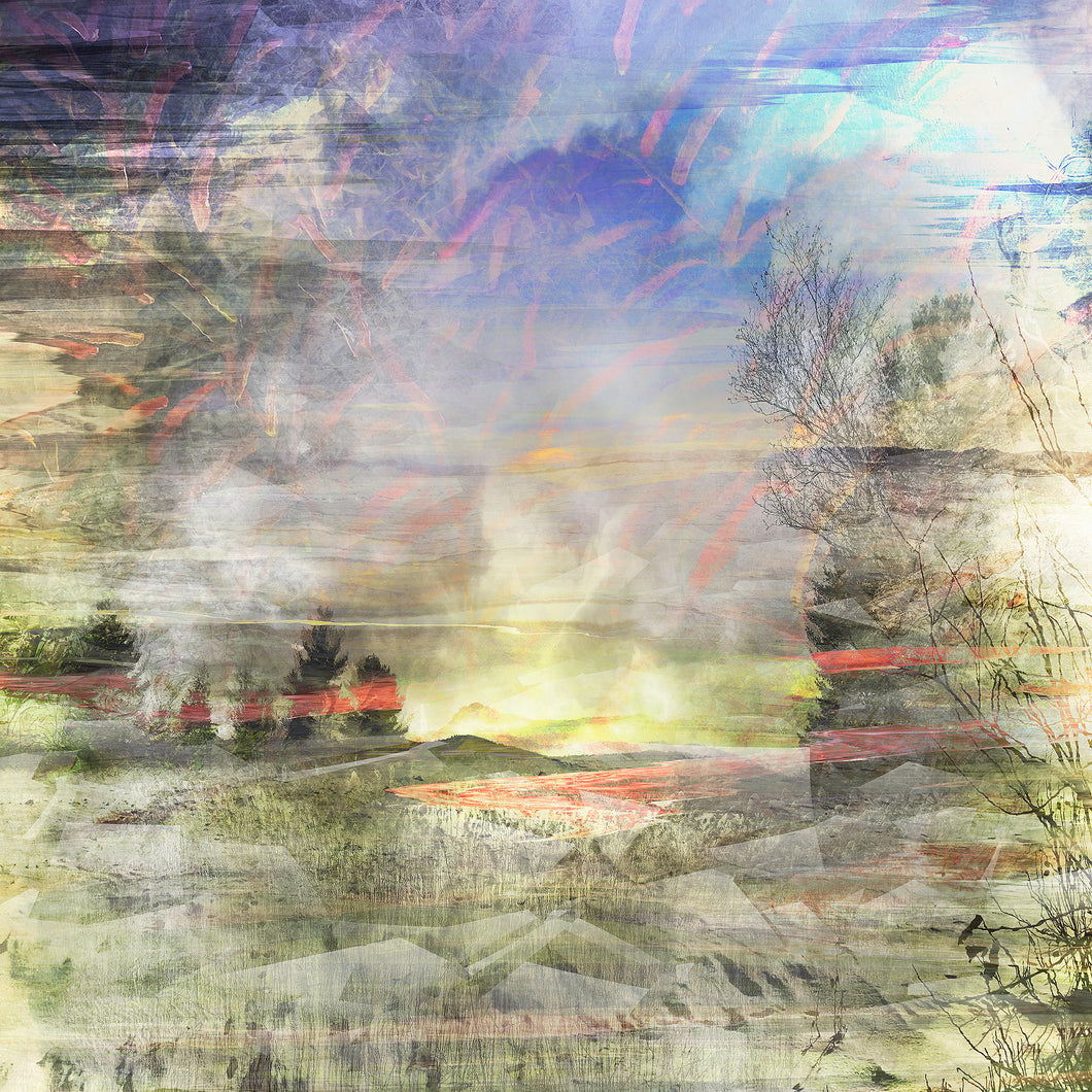 DUALE — PHRAGMITES AUSTRALIS