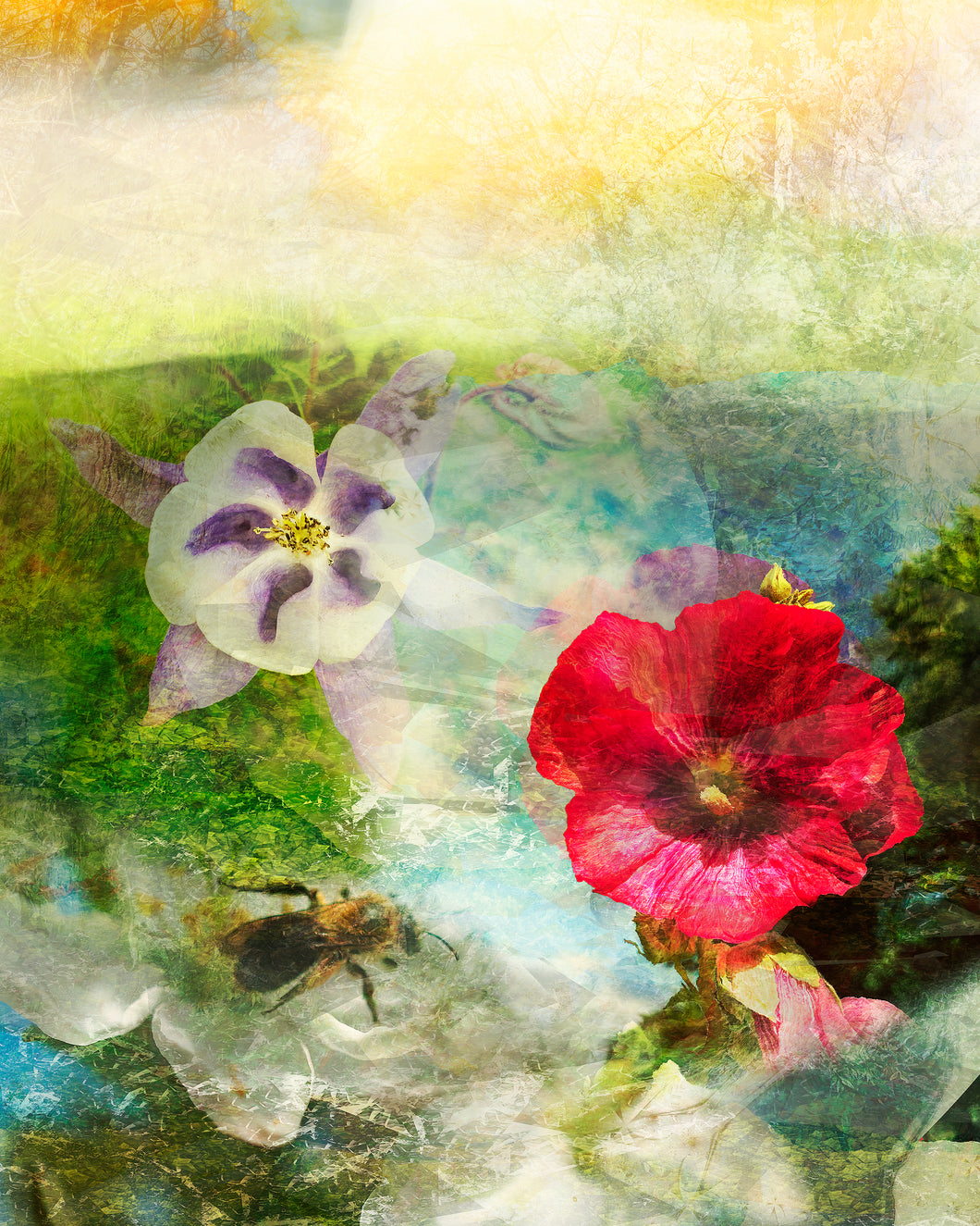 DUALE — ANTHOPHILA