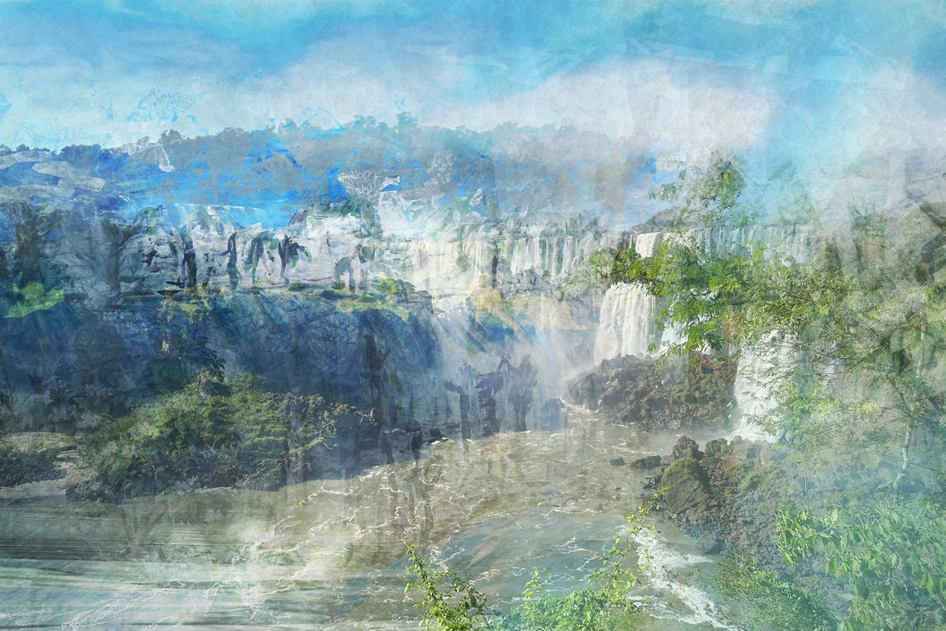 DUALE — ILEX PARAGUARIENSIS