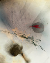 Charger l&#39;image dans la galerie, BÊTA-ENDORPHINE
