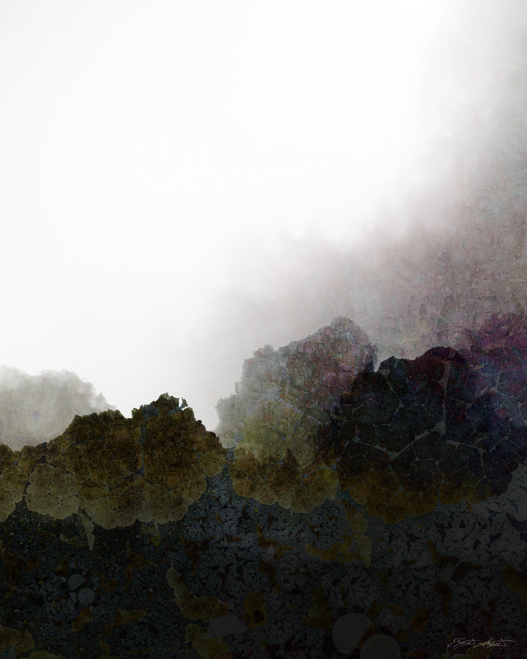 IDÉAUX MÉTAMORPHOSÉS