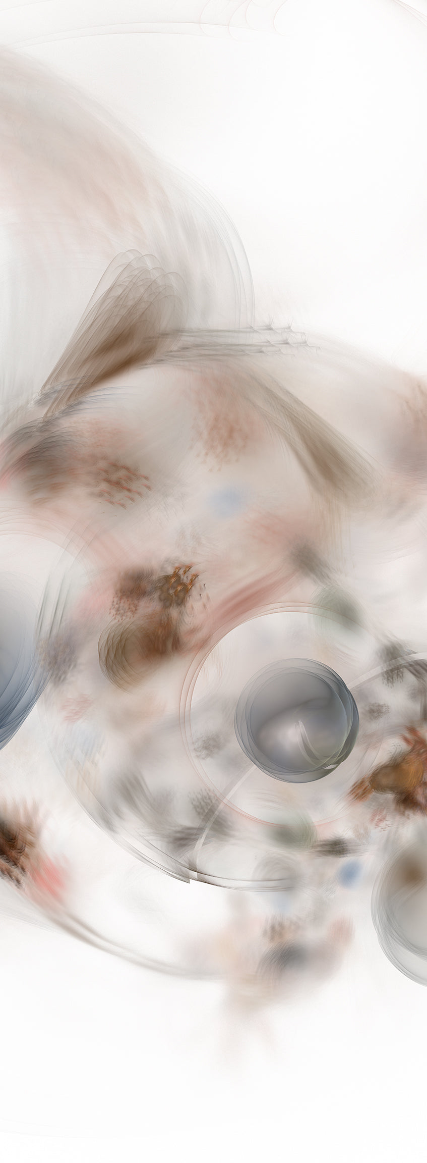 MITOSE EN MI MINEUR — DO