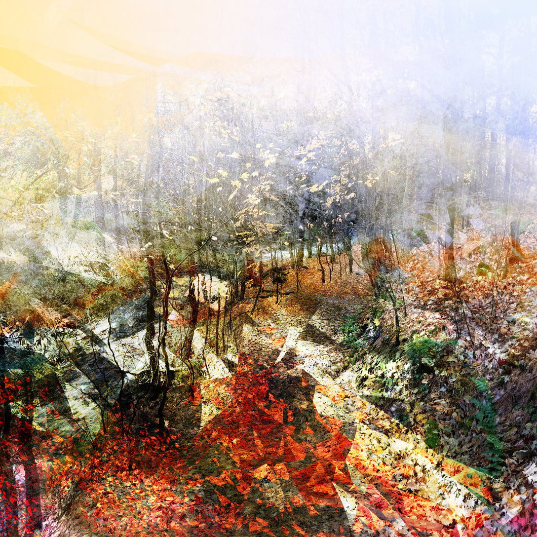 LA PLUIE IMPLAUSIBLE