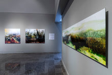 Charger l&#39;image dans la galerie, LA PLUIE IMPLAUSIBLE
