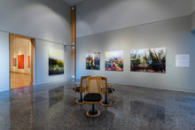 Charger l&#39;image dans la galerie, LA FORÊT PENSIVE
