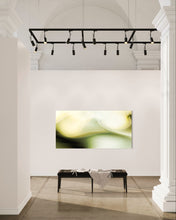 Charger l&#39;image dans la galerie, N-ACÉTYLSÉROTONINE
