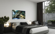 Charger l&#39;image dans la galerie, A TORTOISE?
